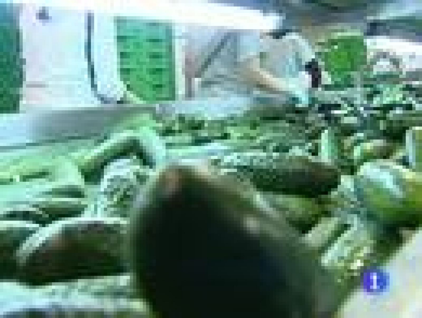 Rosa Aguilar ha presentado el proyecto de ley que regulará la cadena alimentaria