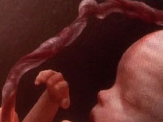 La noche temática - Células madre, un cordón vital