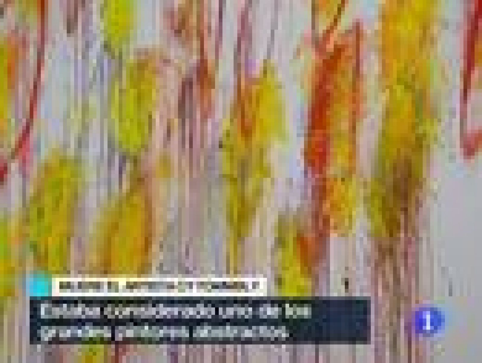 Telediario 1: Muere Cy Twombly | RTVE Play