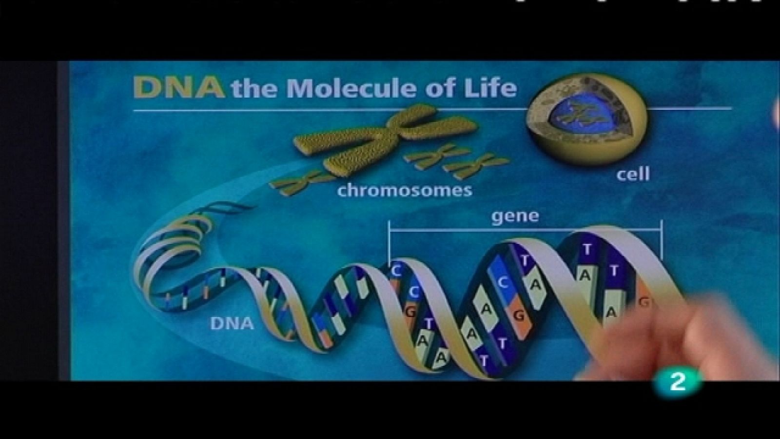 + Investigadores - Antonio Bernad Miana - Ver ahora