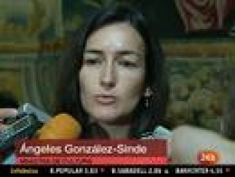 La ministra de Cultura, Ángeles González-Sinde, ha asegurado que el canon digital "debe ser transformado".
