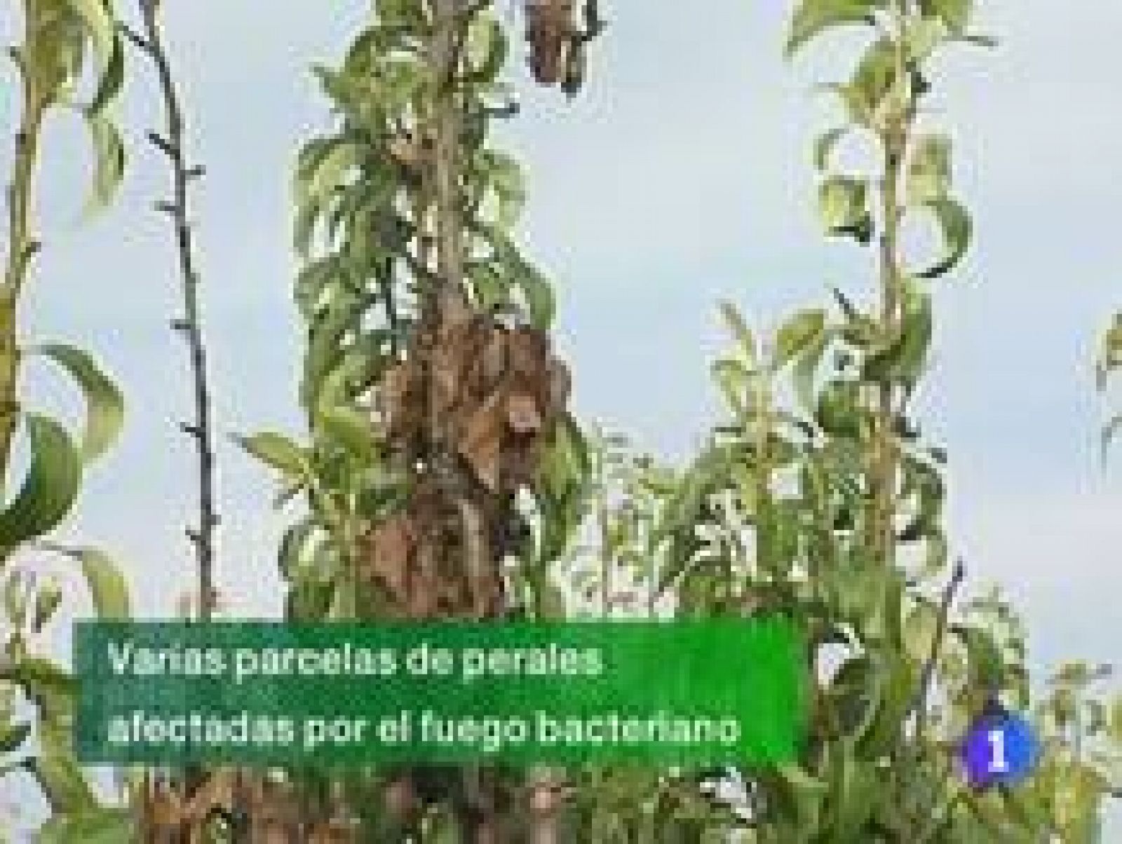 Informativo Telerioja - 08/07/11 | Ver