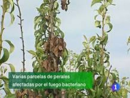 Informativo Telerioja - Informativo Telerioja - 08/07/11