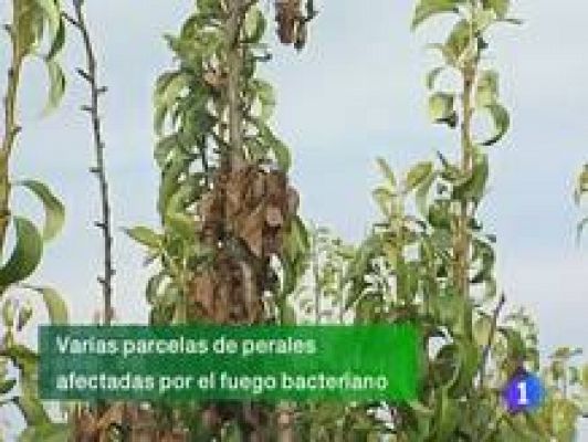 Informativo Telerioja - Telerioja en 2' - 08/07/11