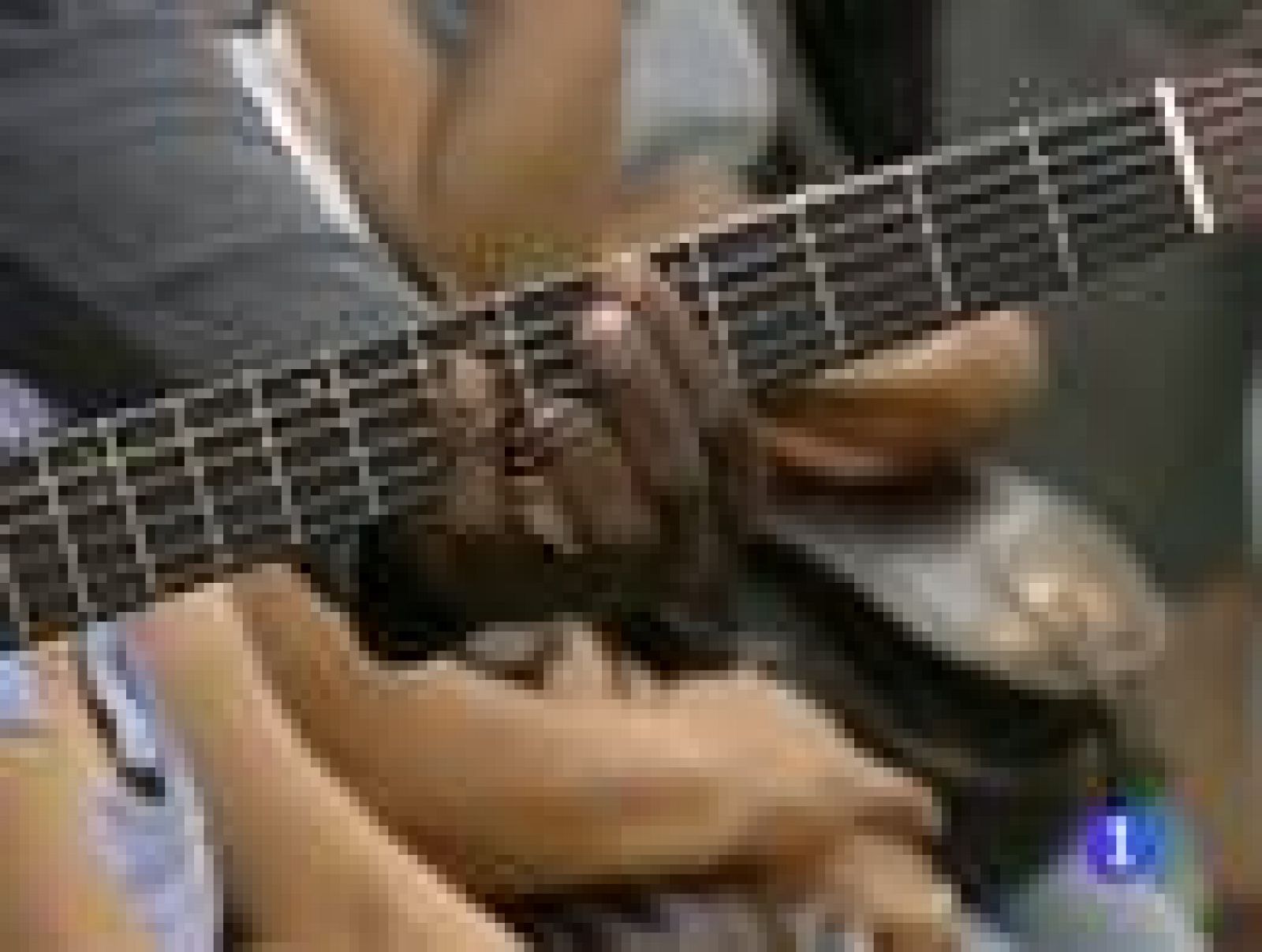 "Playing for change" muestran su talento en el metro de Madrid | Ver