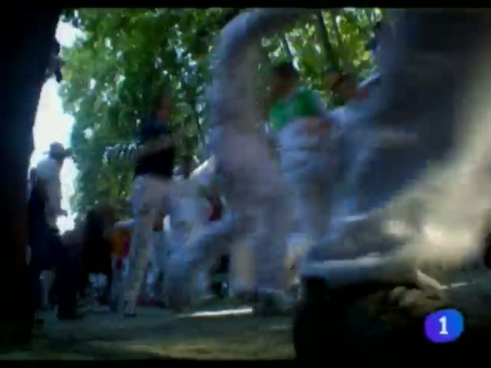 Telenavarra - 08/07/11 | Ver