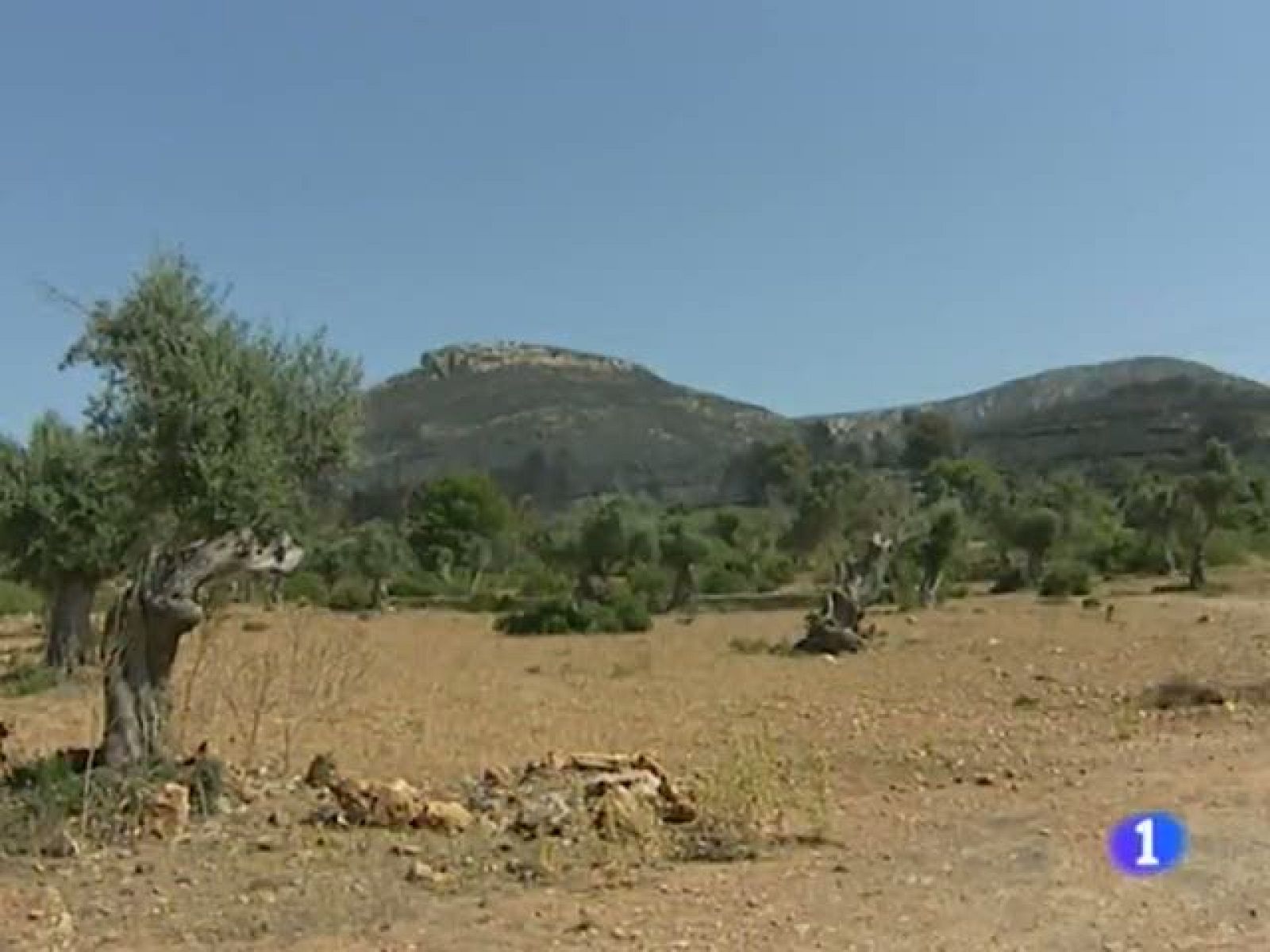 Informatiu Balear en 2' - 08/07/11