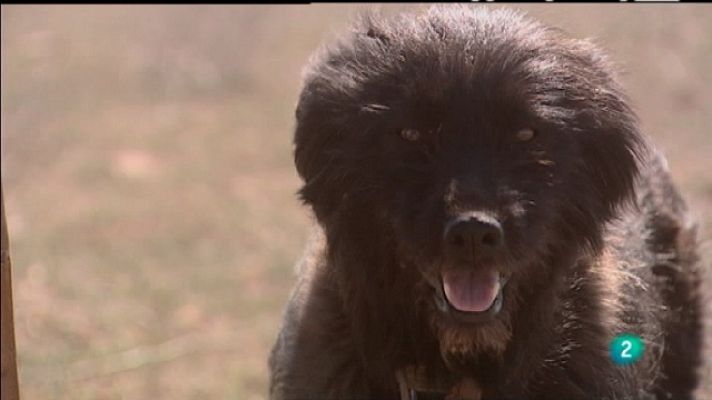 Biodiario - Biodiario - 08/07/11