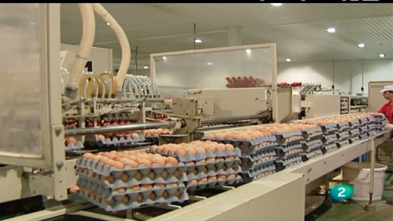 Agrosfera - 09/07/11 - Ver ahora