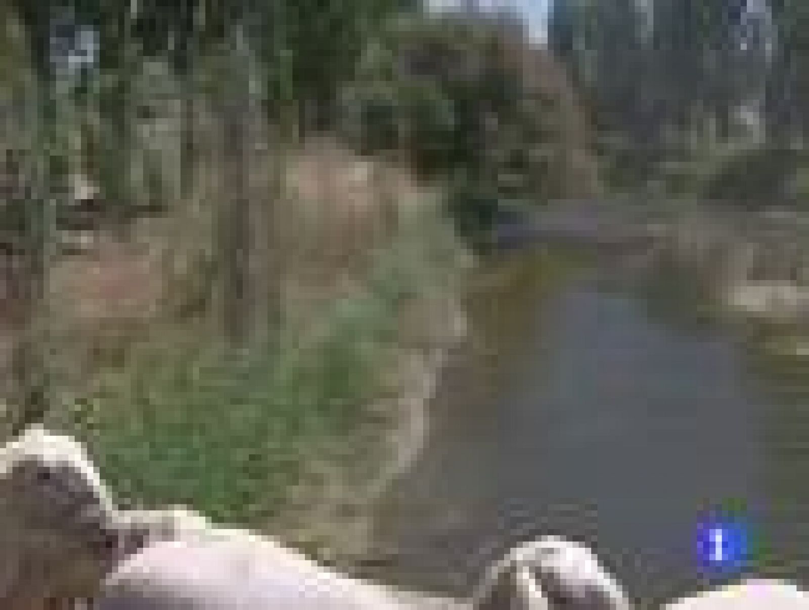 Las Tablas de Daimiel están en sus máximos niveles de inundación