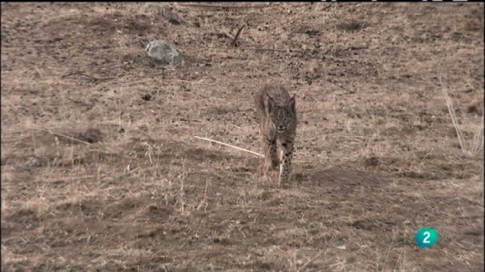 Biodiario - 09/07/11 - Ver ahora