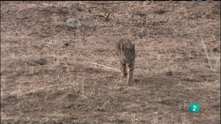 Biodiario - Biodiario - 09/07/11
