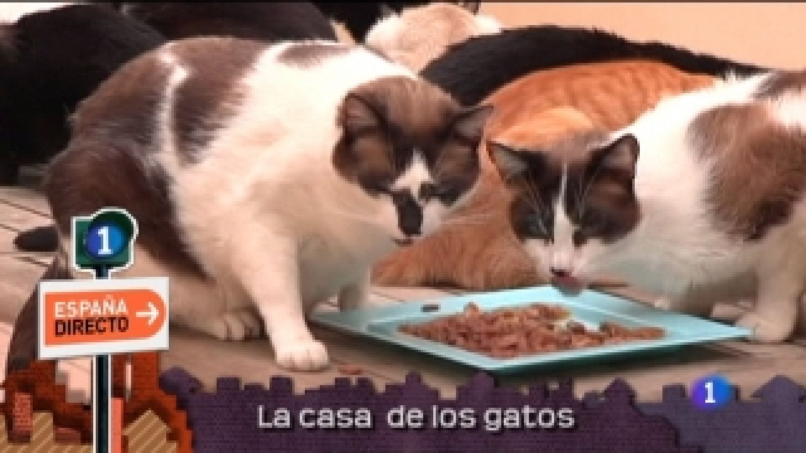 Lo que hay que ver - 10/07/11 - Ver ahora