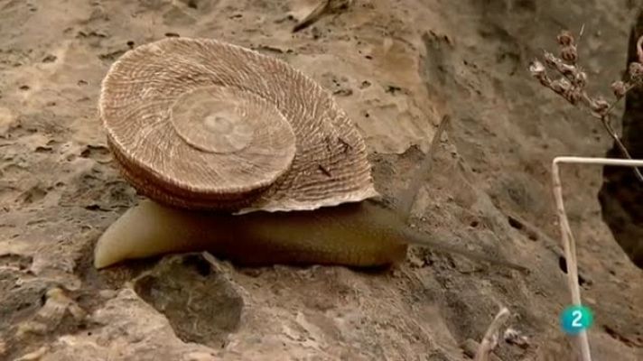 Biodiario - Biodiario - 11/07/11