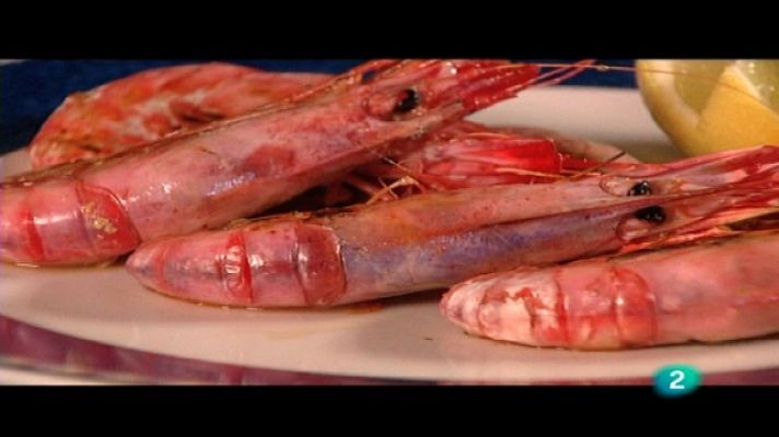 Con los 6 sentidos - Costa Brava 2