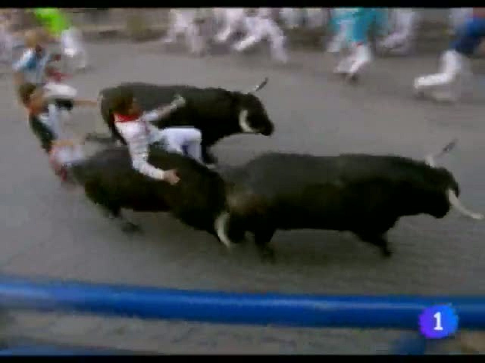 Telenavarra - 12/07/11 | Ver