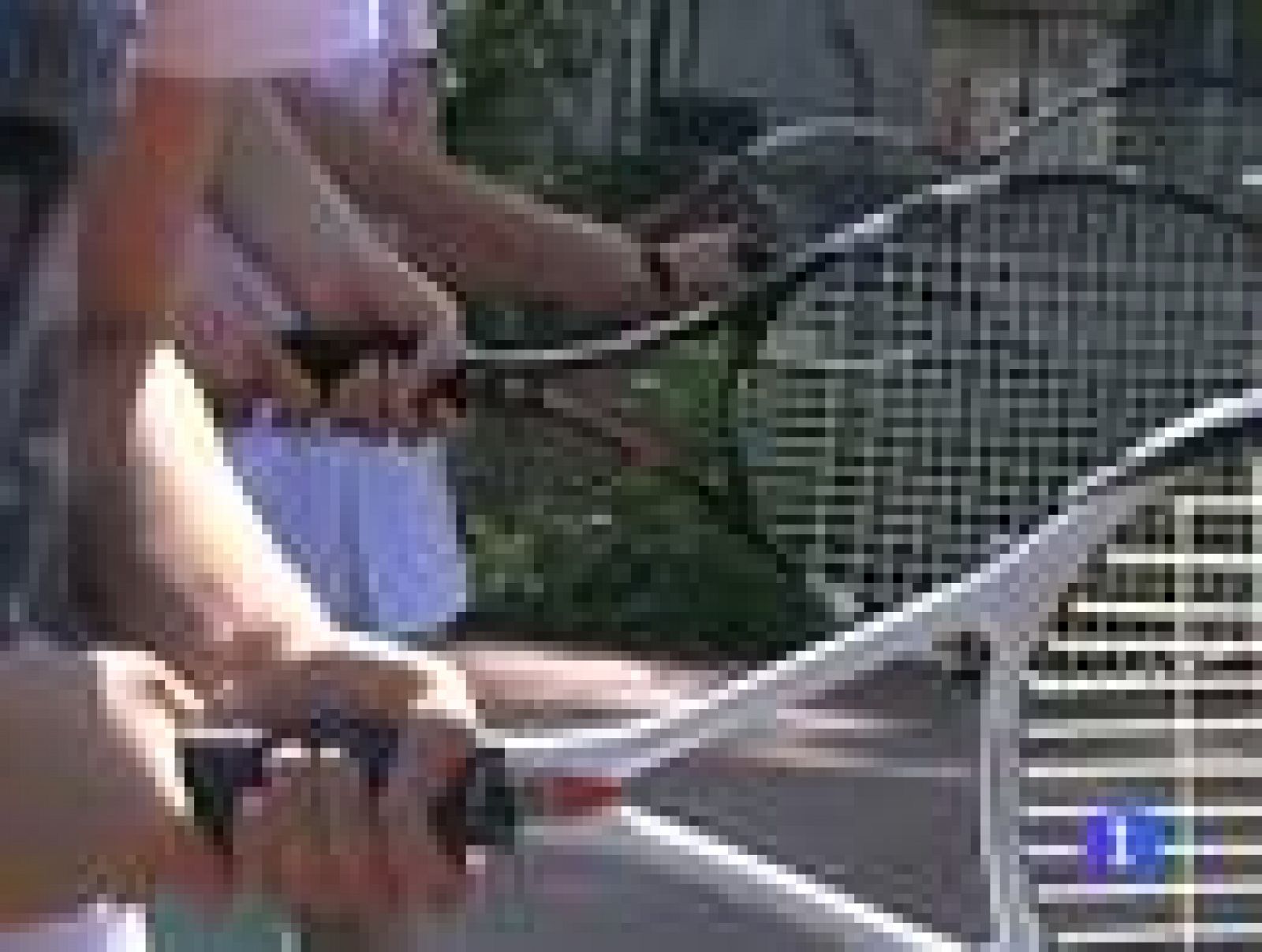 Li Na rinde China a sus pies | Ver