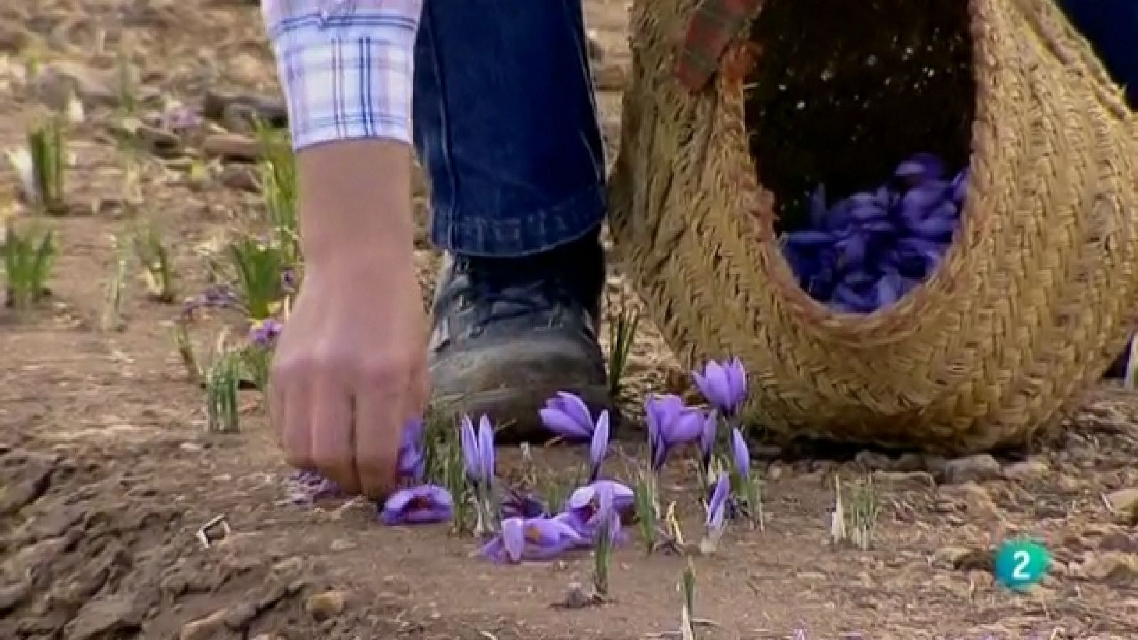 Biodiario - 12/07/11 - Ver ahora