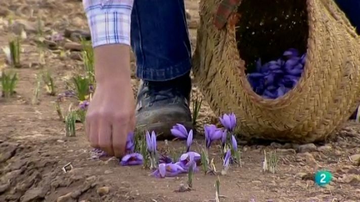 Biodiario - Biodiario - 12/07/11