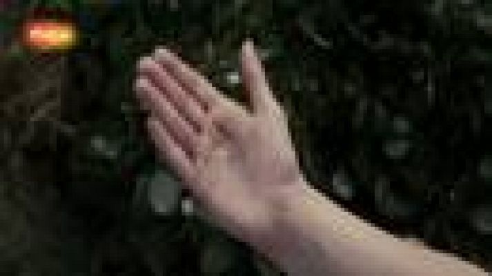  - Tráiler final de 'Harry Potter y las reliquias de la muerte (Parte 2)'