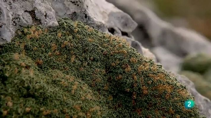 Biodiario - Biodiario - 13/07/11