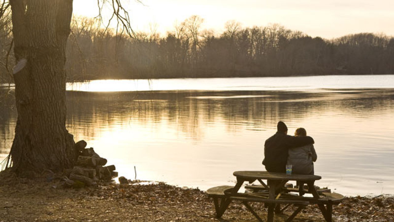 Días de cine: 'Betty Anne Watters', de Tony Goldwyn | Ver