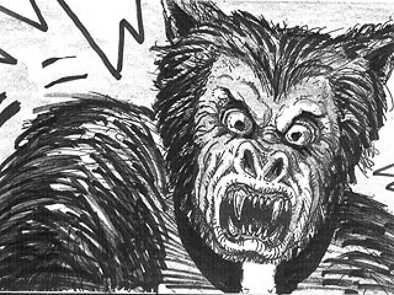 'Lobos de Arga': El storyboard