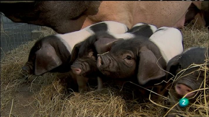 Biodiario - Biodiario - 17/07/11