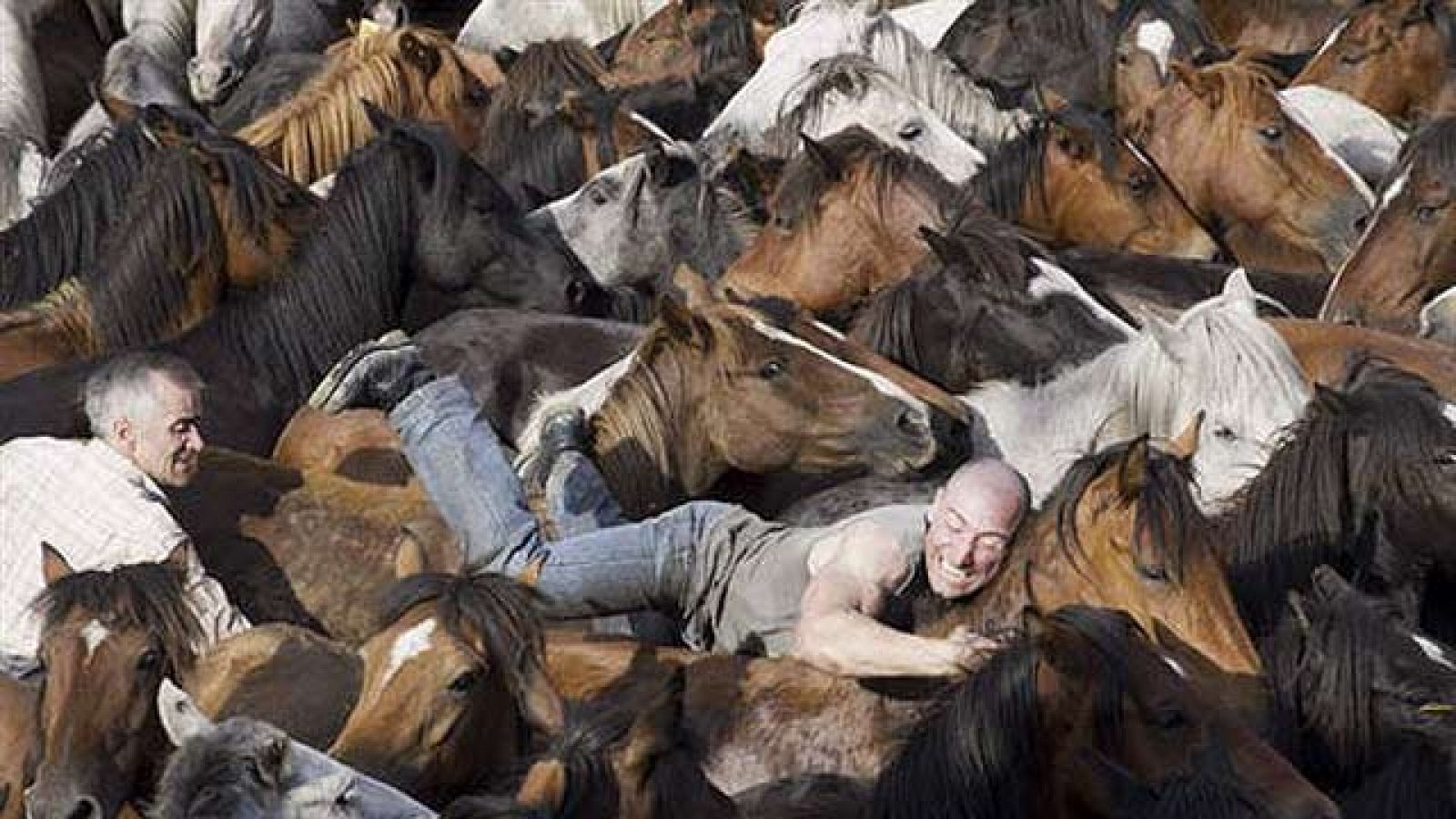 On Off: Rapa das bestas - On Off | Ver