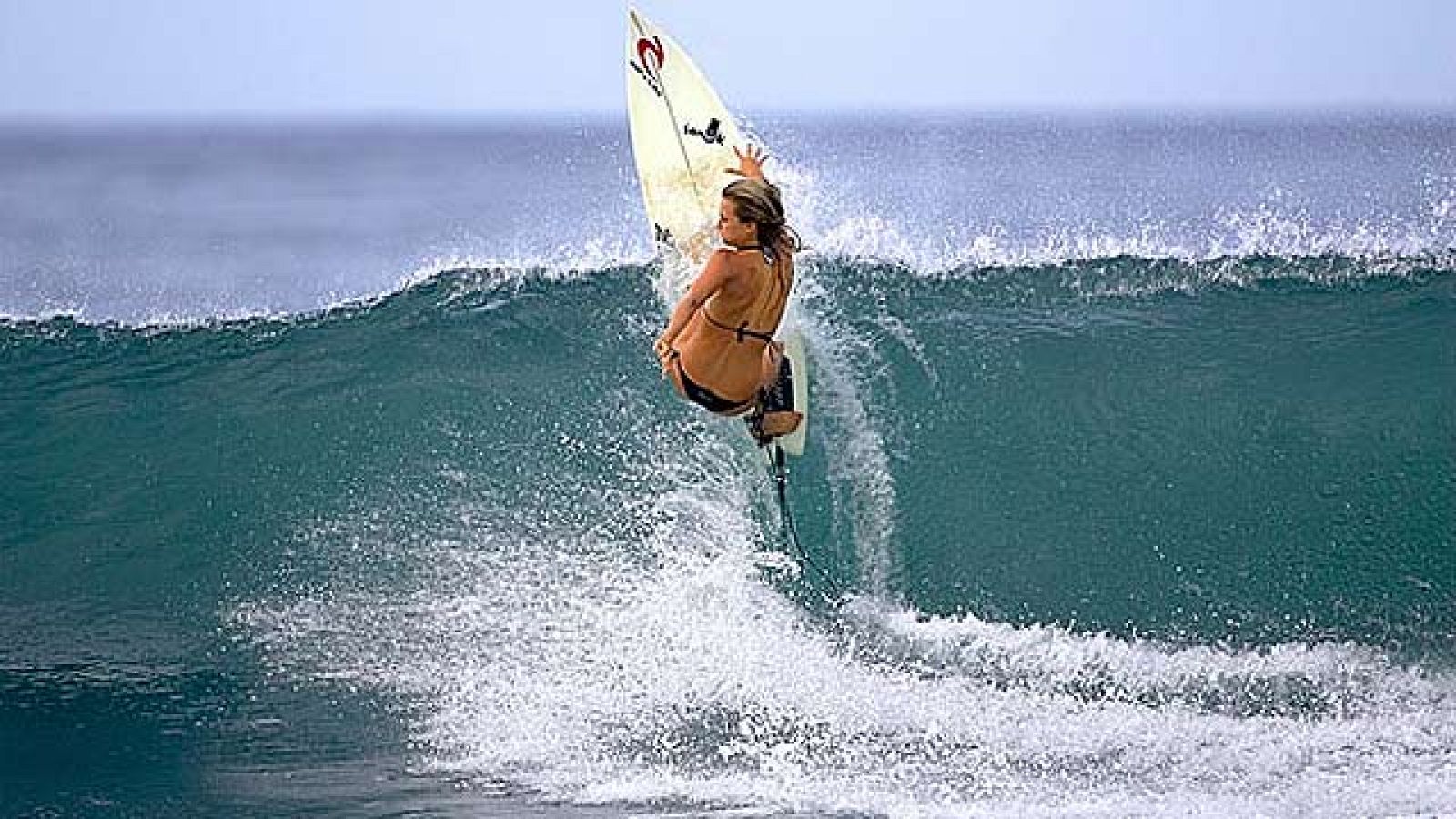 On Off: Las amazonas del mar