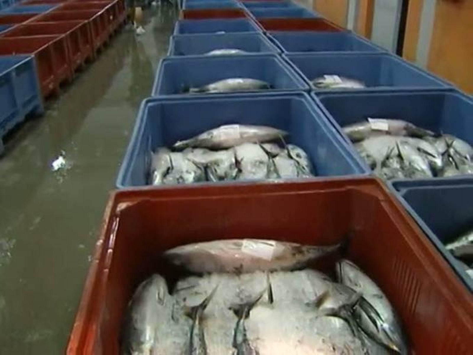 Telecantabria - 18/07/11