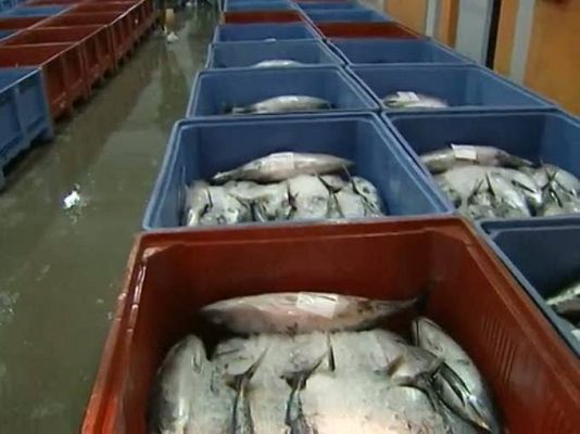 TeleCantabria - Telecantabria - 18/07/11