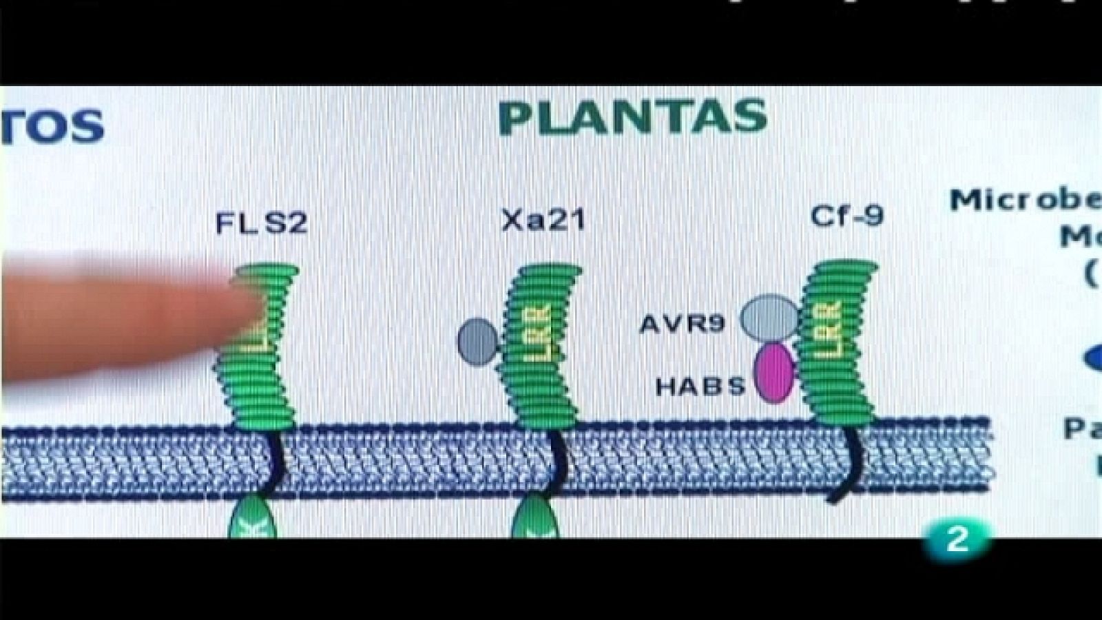 + Investigadores - Antonio Molina Fernández - Ver ahora