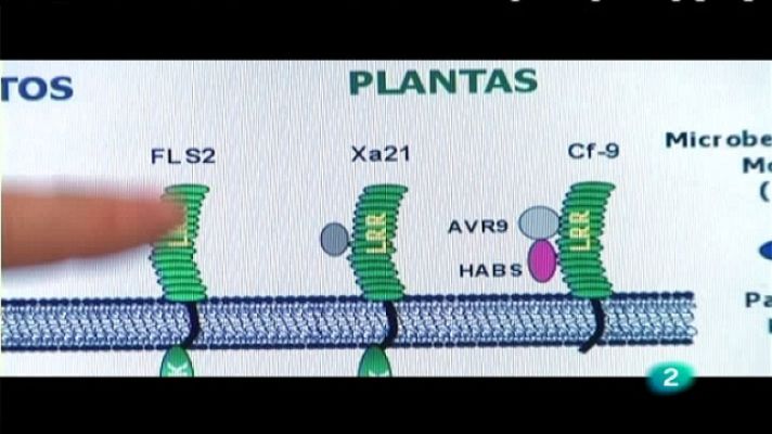 + Investigadores - Antonio Molina Fernández