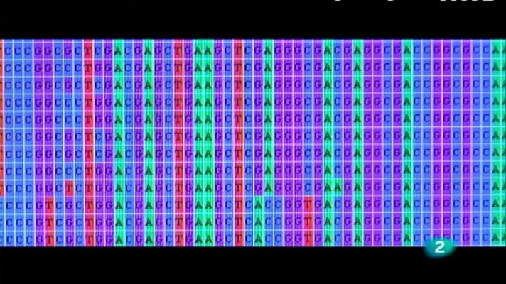 + Investigadores - Alicia Aranaz Martín