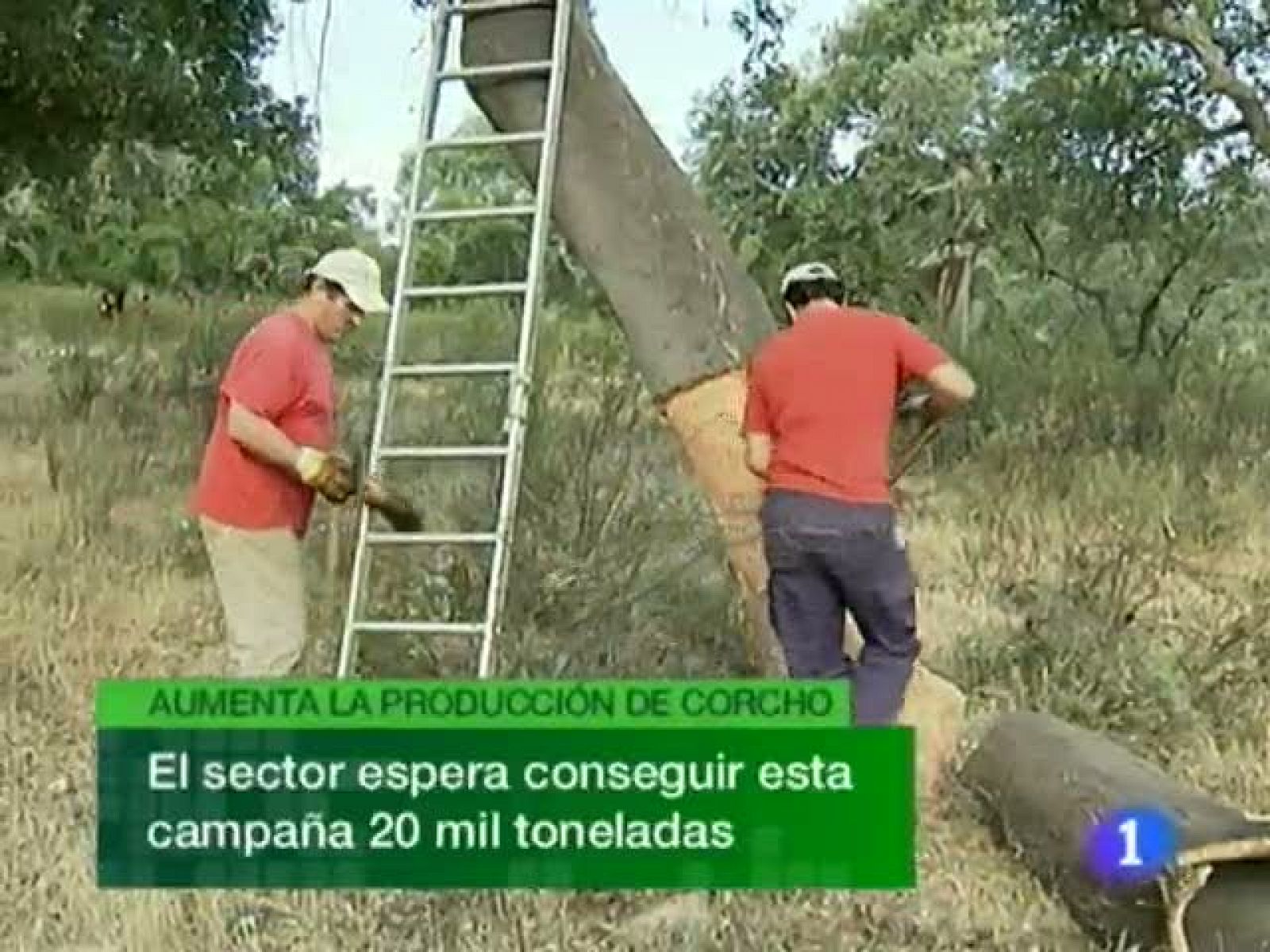 La Comunidad de Extremadura en 2'- 20/07/11 | Ver