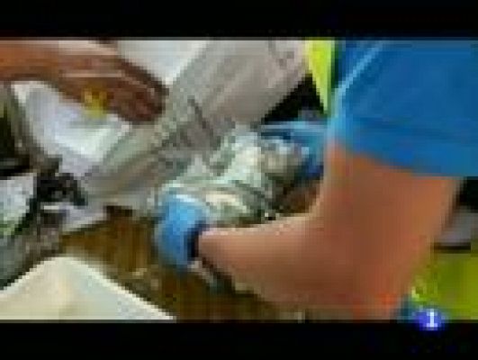 Informatiu Balear - Informatiu Balear - 22/07/11