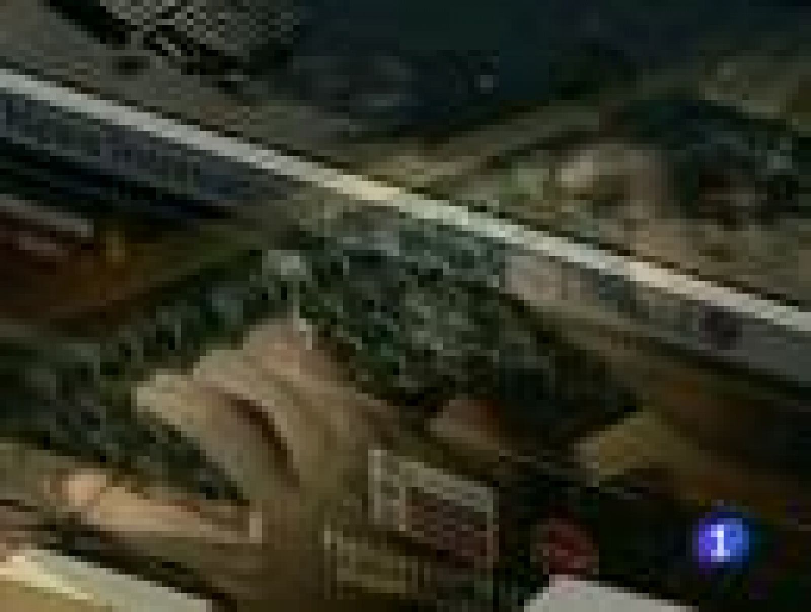 Dos altos ejecutivos del grupo Murdoch acusan a James Murdoch