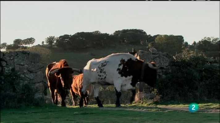 Biodiario - Biodiario - 22/07/11