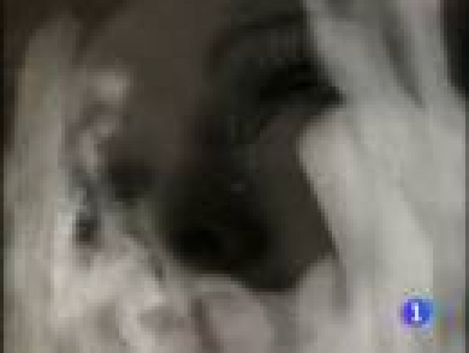 Cindy Lauper vuelve a los escenarios