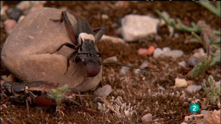 Biodiario - Biodiario - 23/07/11