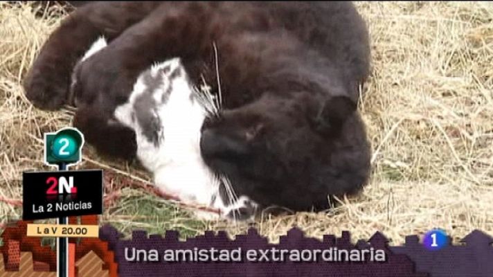 Lo que hay que ver - 24/07/11