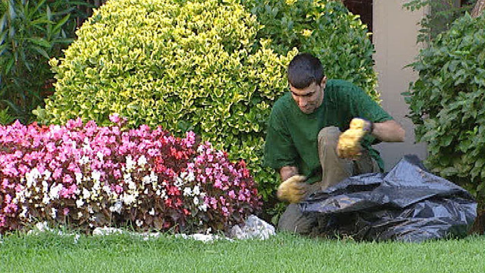 En España hay 290 mil personas con alguna discapacitad intelectual