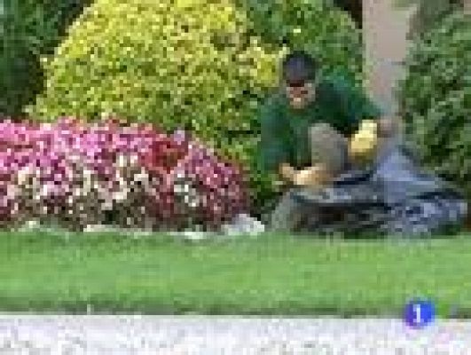 Telediario 1 - Discapacitados intelectuales