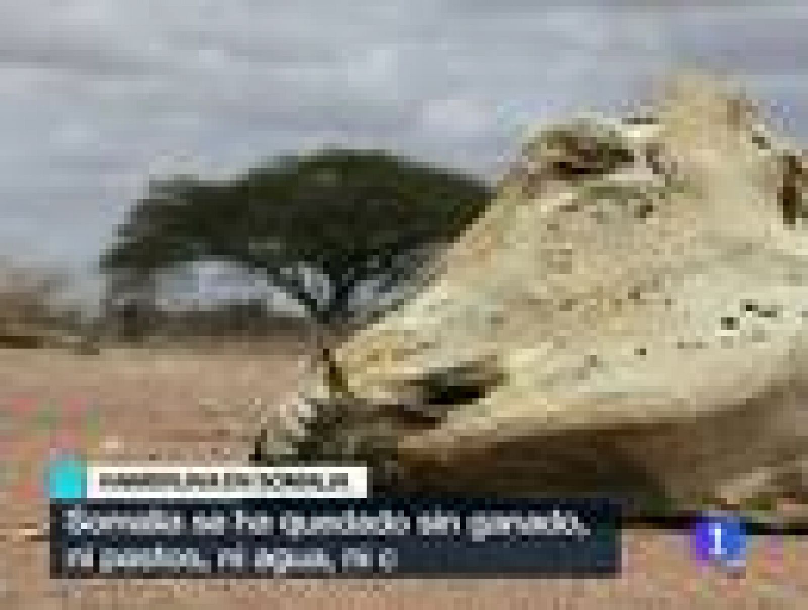 La hambruna en Somalia afecta a 12 millones de personas