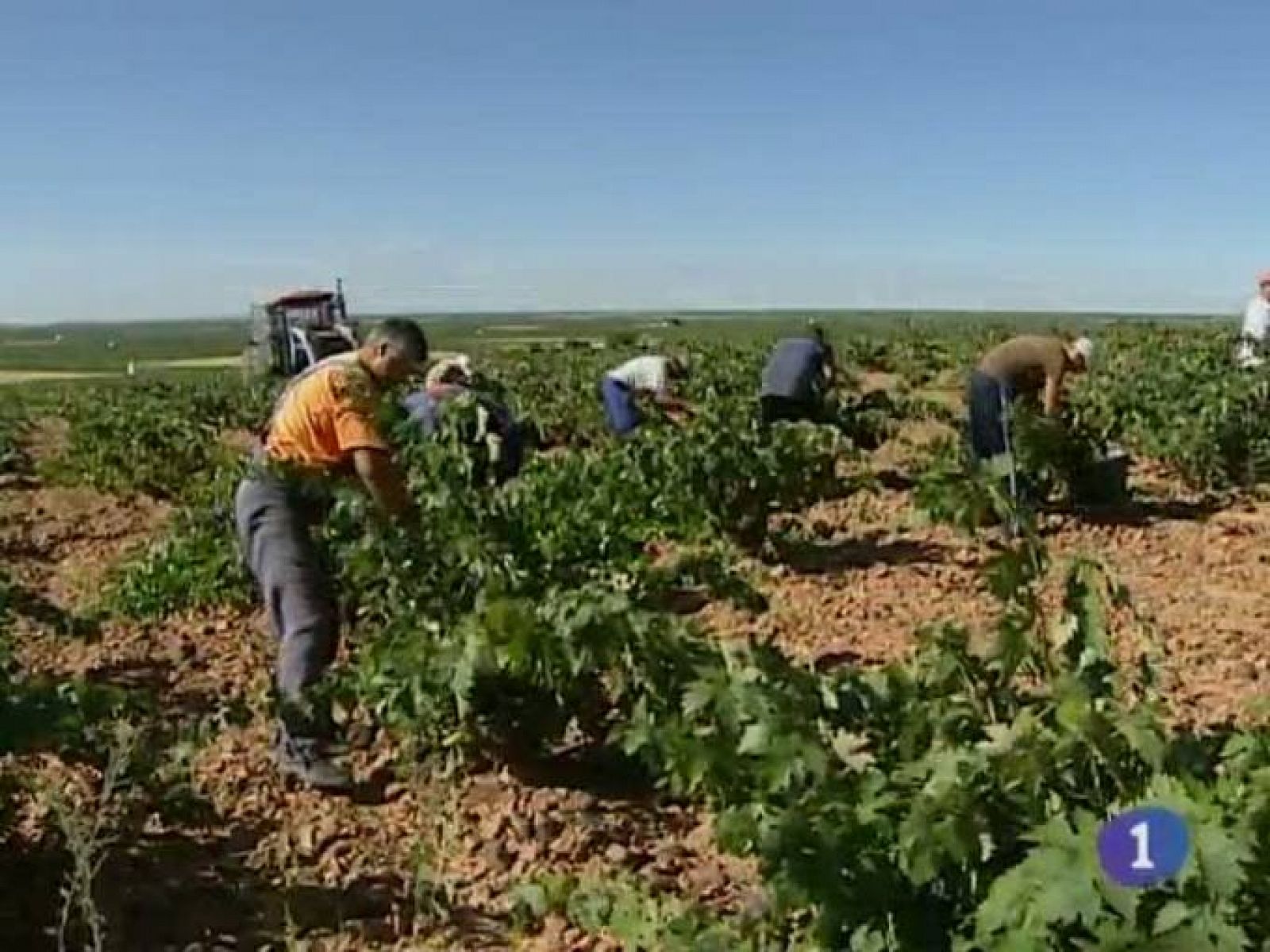 Noticias de Castilla-La Mancha: Noticias de Castilla - La Mancha. informativo de Castilla - La Mancha (25/07/2011) | RTVE Play