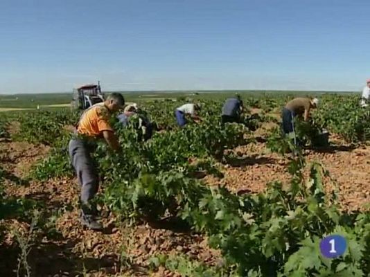 Noticias de Castilla - La Mancha. informativo de Castilla - La Mancha (25/07/2011)