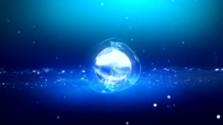 Waterpolo - Campeonato del mundo Cuartos de final Femenino desde Shanghai (China) - 25/07/11  