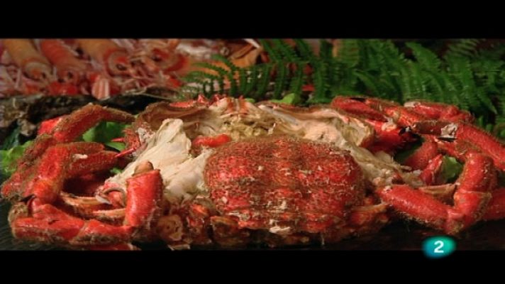 Con los 6 sentidos - Rías Baixas II