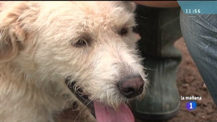 La mañana - La mañana de La 1 - 27/07/11